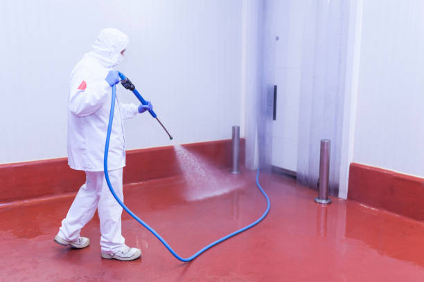Paint Preparation in Pennington, NJ